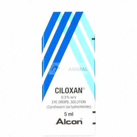 Ciloxan